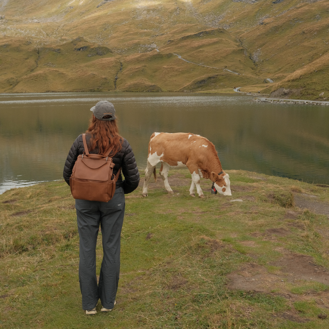 Travelling Switzerland with the Archy Backpack